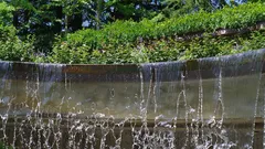 Nahaufnahme eines Wasserbrunnens vor üppigem Grün und Blumen