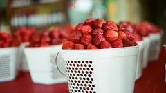 So bewahren Sie das volle Aroma Ihrer Himbeeren mit dem Blech-Trick