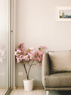 Rosa Blumen neben Sofa im Wohnzimmer