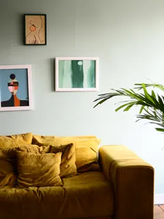 Wohnzimmer mit Sofa und Zimmerpflanze